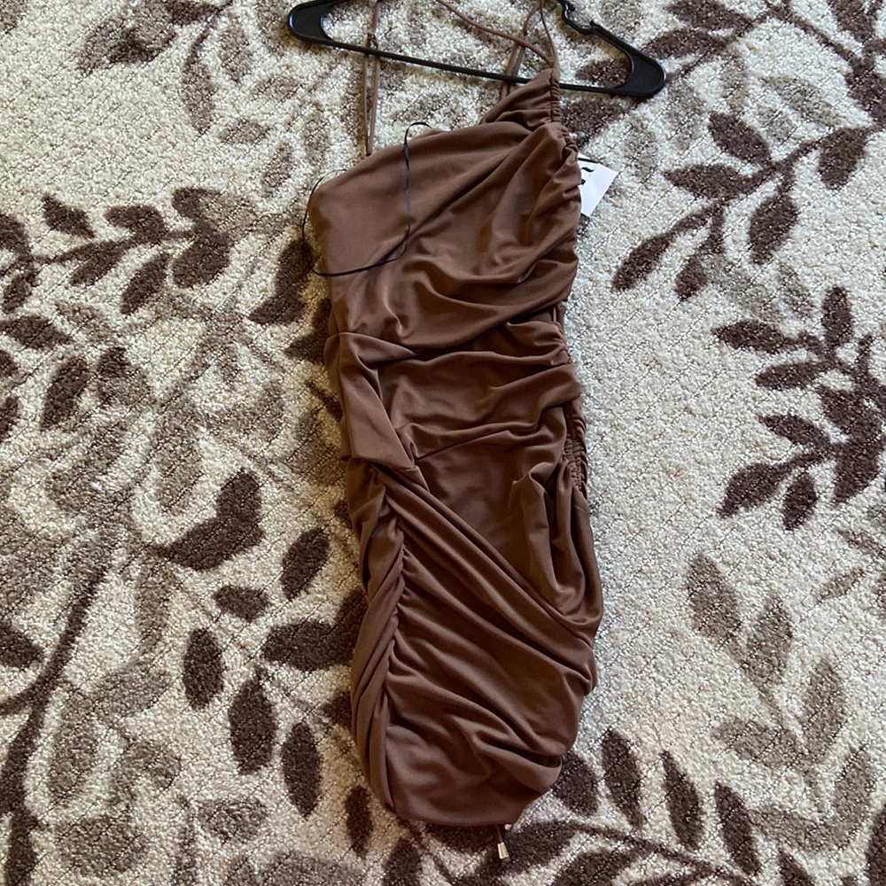 Zara Brown Scrunched Dress